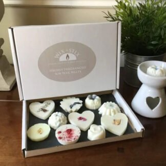 Wix & Stix Mixed Coconut Wax Melts - Box of 10 x 20g each