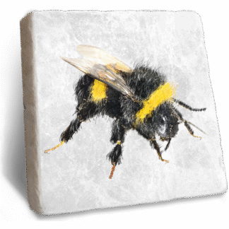 Stone Rebellion Bee Coaster