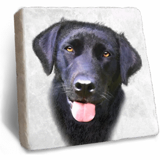 Stone Rebellion Black Labrador Coaster