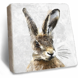Stone Rebellion Hare Coaster