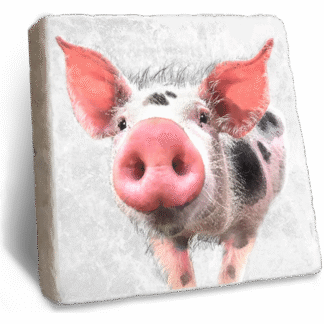 Stone Rebellion Pig Coaster