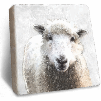 Stone Rebellion Sheep Coaster