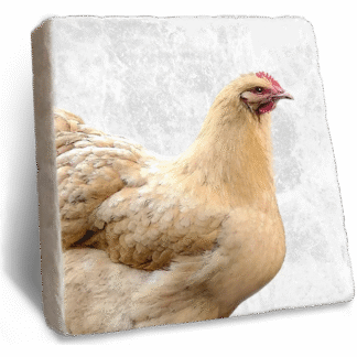 Stone Rebellion Chicken Coaster